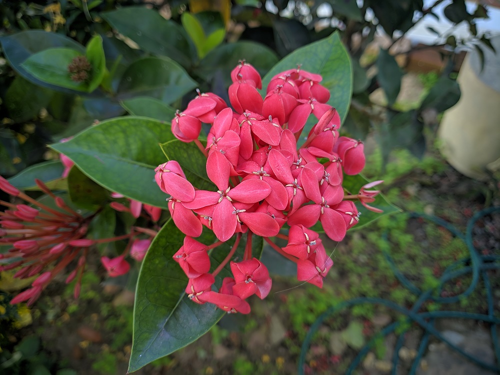 girl coding  Lorem ipsum dolor sit, amet consectetur adipisicing elit. Assumenda qui aliquam